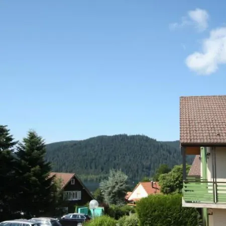 Gérardmer, 2 Pièces, 2 Personnes - Fr-1-589-56 * Gérardmer