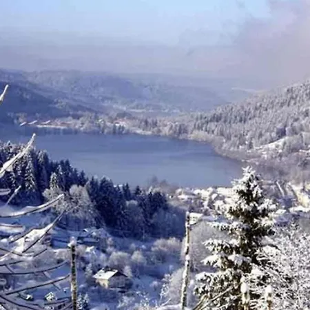 Avec Terrasse & Piscine Privee, - Fr-1-589-56 Apartment Gerardmer